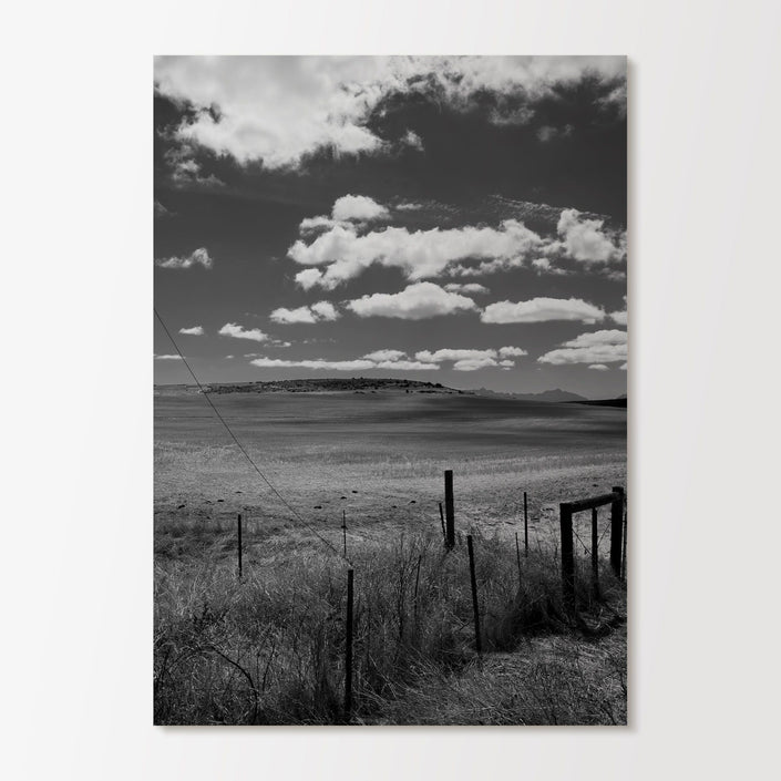 Field