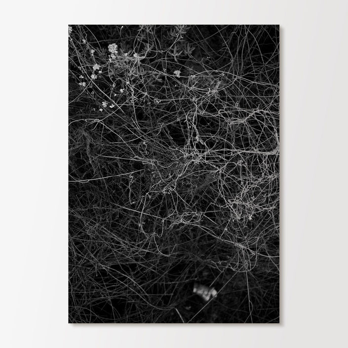 Tangle